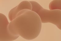 Ilustrasi kompleksitas organ-organ internal tubuh manusia yang sehat, menggambarkan bagaimana pola hidup seimbang berkontribusi pada fungsi optimal sistem pencernaan dan detoksifikasi. Gambar ini menekankan pentingnya sinergi antar organ untuk menjaga kesehatan tubuh secara menyeluruh.