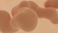 Ilustrasi kompleksitas organ-organ internal tubuh manusia yang sehat, menggambarkan bagaimana pola hidup seimbang berkontribusi pada fungsi optimal sistem pencernaan dan detoksifikasi. Gambar ini menekankan pentingnya sinergi antar organ untuk menjaga kesehatan tubuh secara menyeluruh.