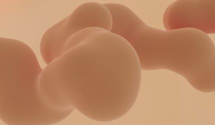 Rahasia Tubuh Sehat: Pentingnya Menjaga Kebersihan Organ dalam