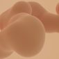 Ilustrasi kompleksitas organ-organ internal tubuh manusia yang sehat, menggambarkan bagaimana pola hidup seimbang berkontribusi pada fungsi optimal sistem pencernaan dan detoksifikasi. Gambar ini menekankan pentingnya sinergi antar organ untuk menjaga kesehatan tubuh secara menyeluruh.